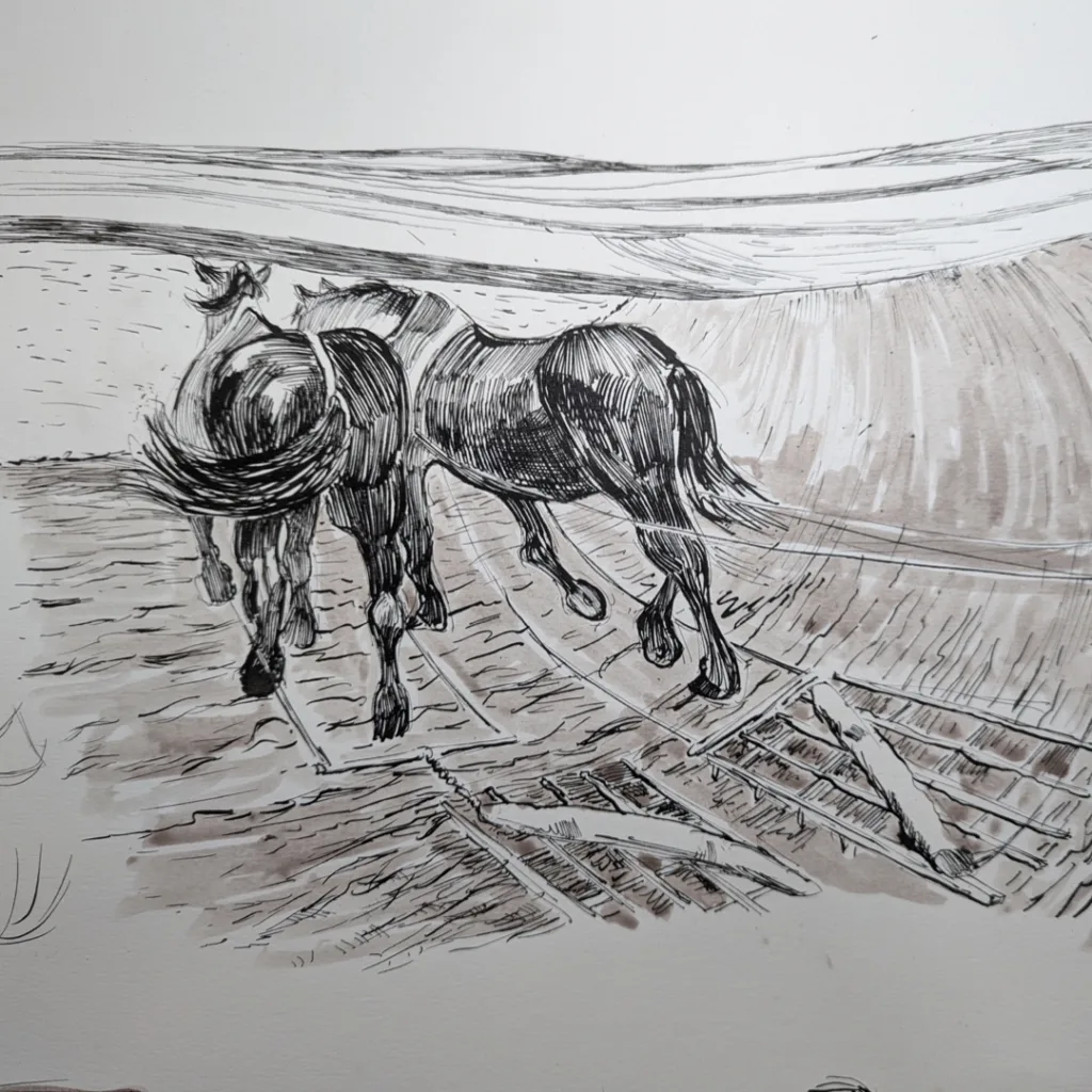 ‎images chap 1 EG SW.‎029