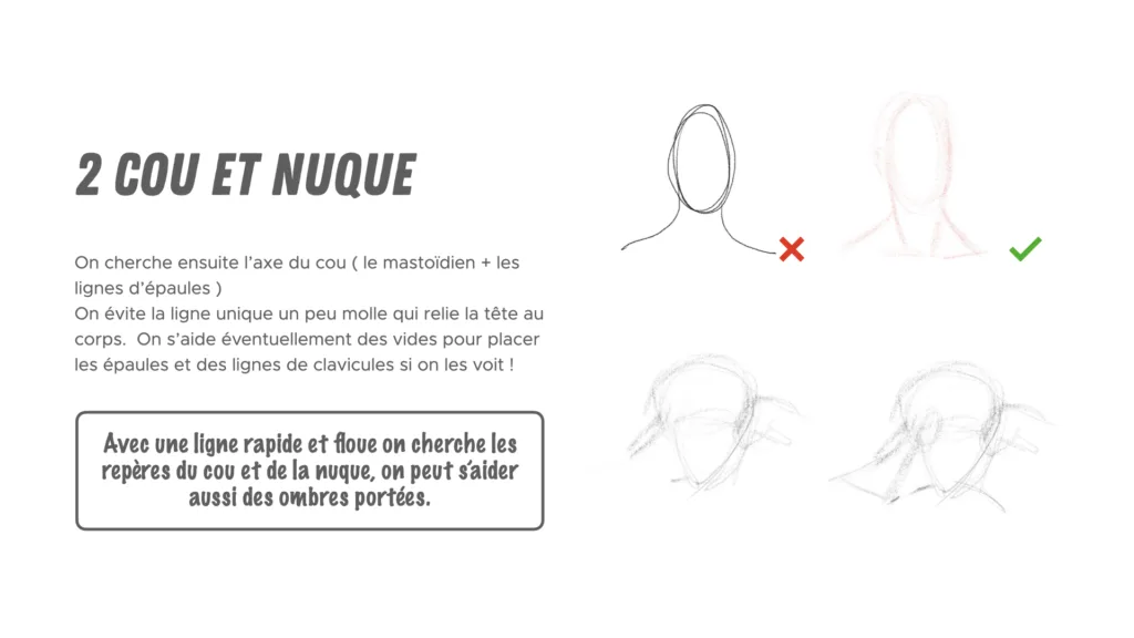 dessiner la tête étape 2