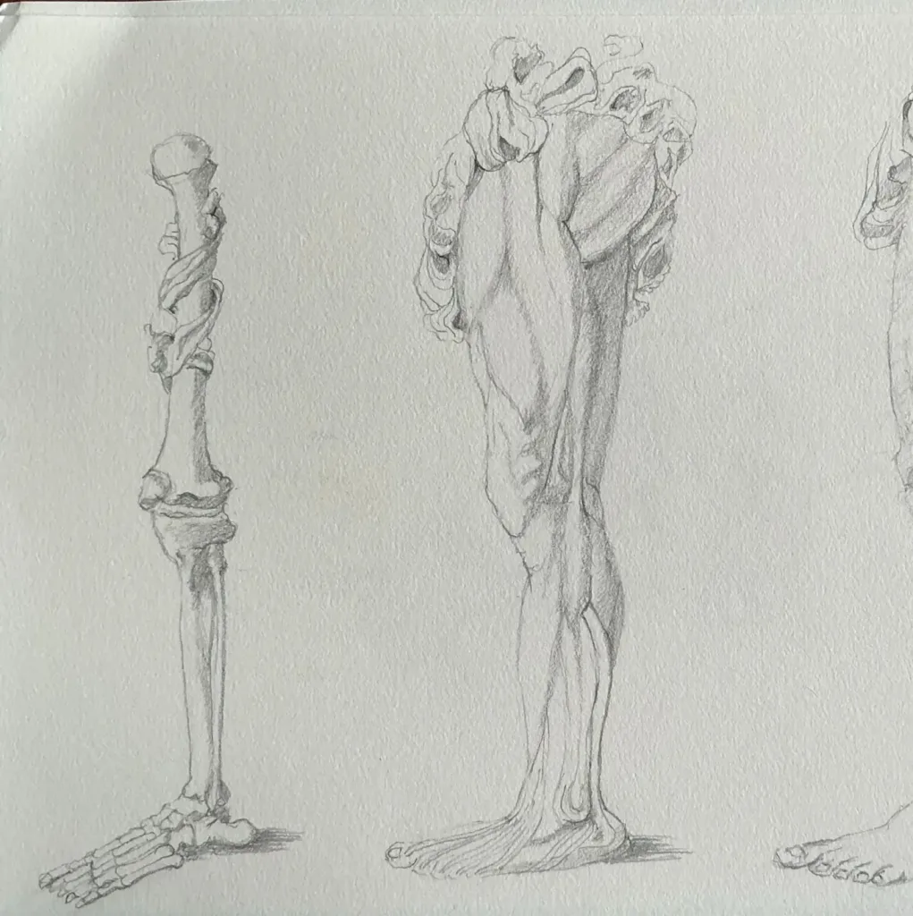 image-d9704cea-4b35-41c0-ae2f-b8