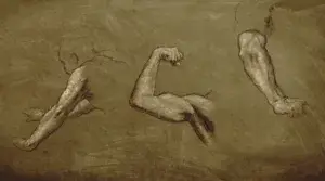 3 représentations du bras et du coude