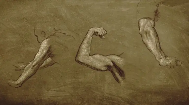 3 représentations du bras et du coude