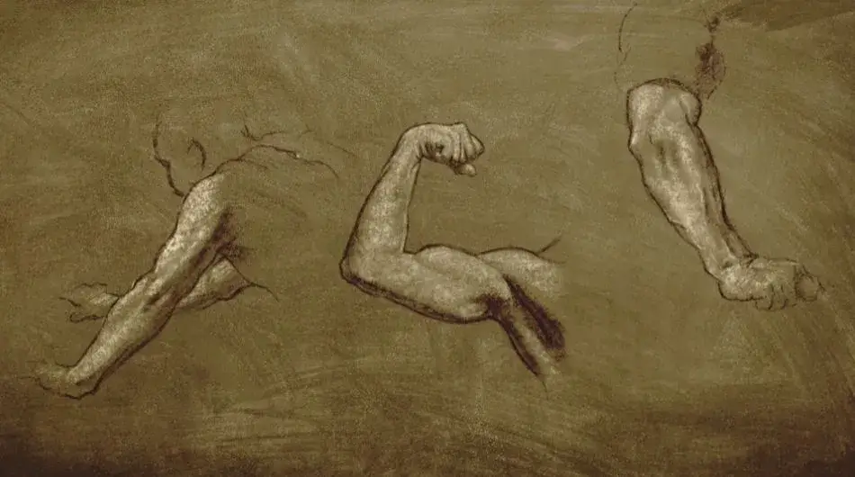 3 représentations du bras et du coude