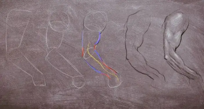 de formes grossières jusqu' une représentation du bras expressive