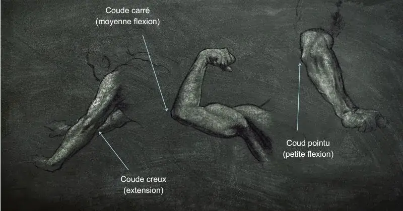 3 positions du coude dessinées de manière crédible