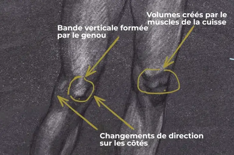 repères pour améliorer le rendu d'un dessin du genou