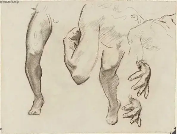 illustration différentes postures du genou artistique