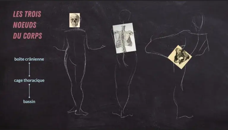 illustration des 3 nœuds, méthode idéale pour mettre du mouvement à un dessin