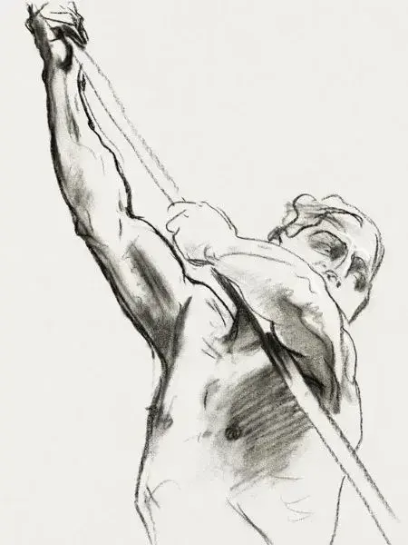 illustration du coude